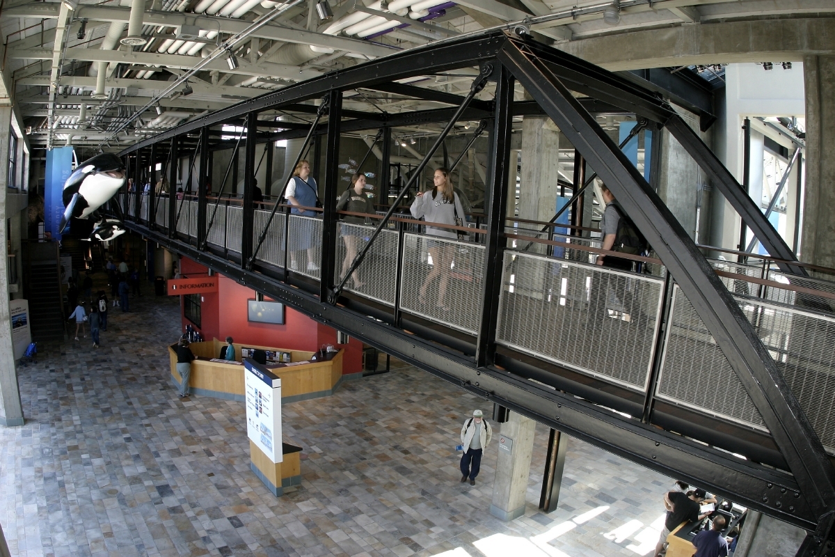A bridge inside the Monterey Bay Aquarium