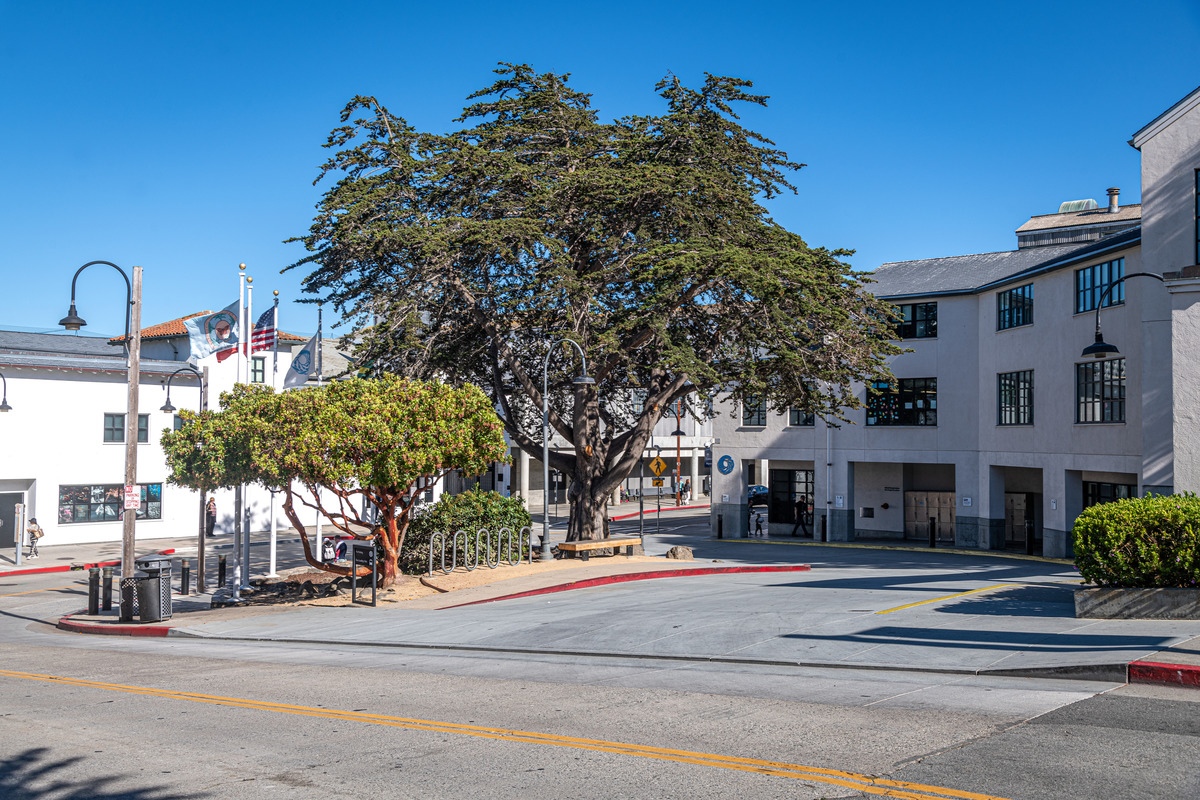 View of the bus turnaround area in front of the Aquarium, which features a circular driveway surrounding an island with two large trees, a light pole, and flag poles