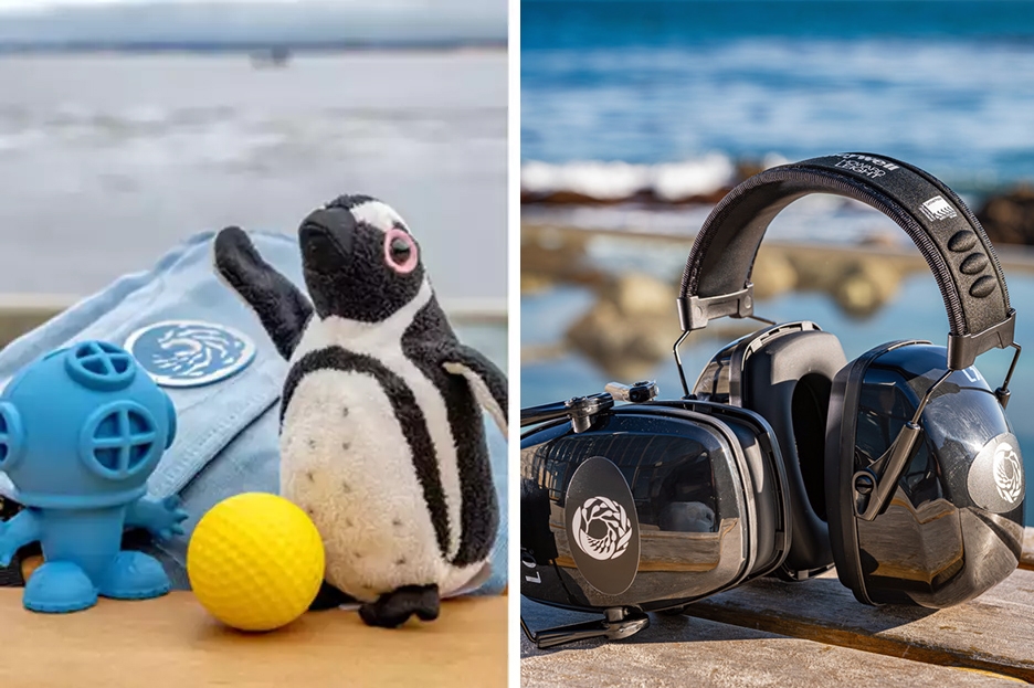 A split image, with a blue sensory bag, a small plush penguin, a yellow golf ball-type ball with divots, and a blue rubber diver toy all on the left side and on the right side is a black pair of noise-reduction headphones