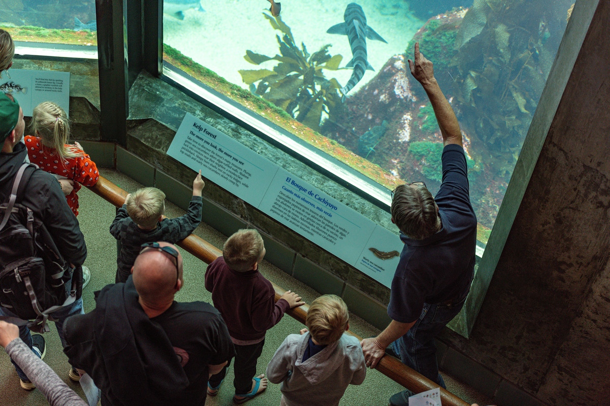 An overhead view of an Aquarium volunteer pointing to something inside the Kelp Forest exhibit. The volunteer appears to be talking to three children that are leaning against the wooden railing of the exhibit