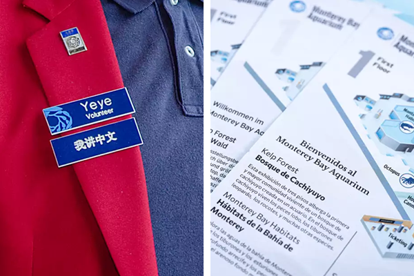 A split image: On the left is a closeup of the name tags and pins of an Aquarium volunteer, showcasing their name and the language they speak. On the right is a pile of paper program guides in various languages including Spanish and German