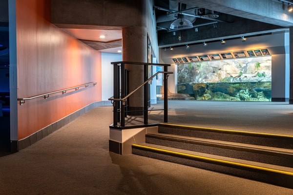 The space leading to the Seabirds exhibit at the Aquarium, showing an accessible ramp with hand railings to the left, and a set of three stairs to the right