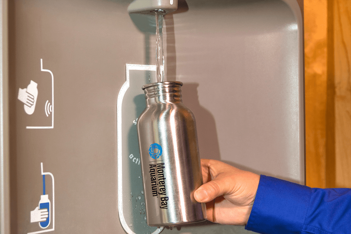 A hand holds a metal Monterey Bay Aquarium reusable water bottle up to a water-fill station