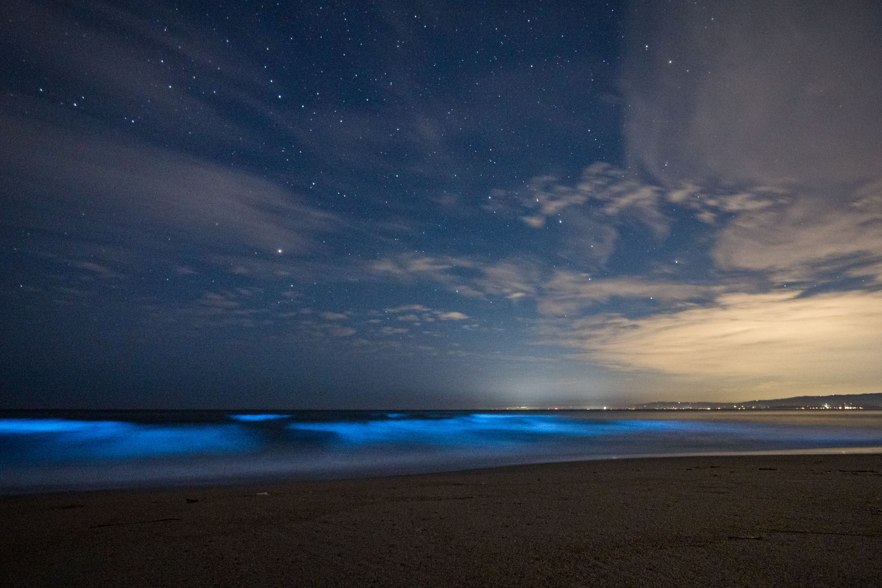 Bioluminescent blue waves glowing at the shoreline under a starry night sky along a coastal beach