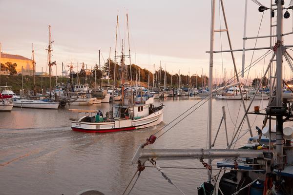 Fishing boat returning to Moss Landing harbor at sunset
