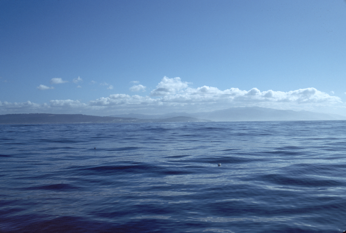 Calm blue ocean filling the bottom half, clear blue sky above with a single stretched white cloud