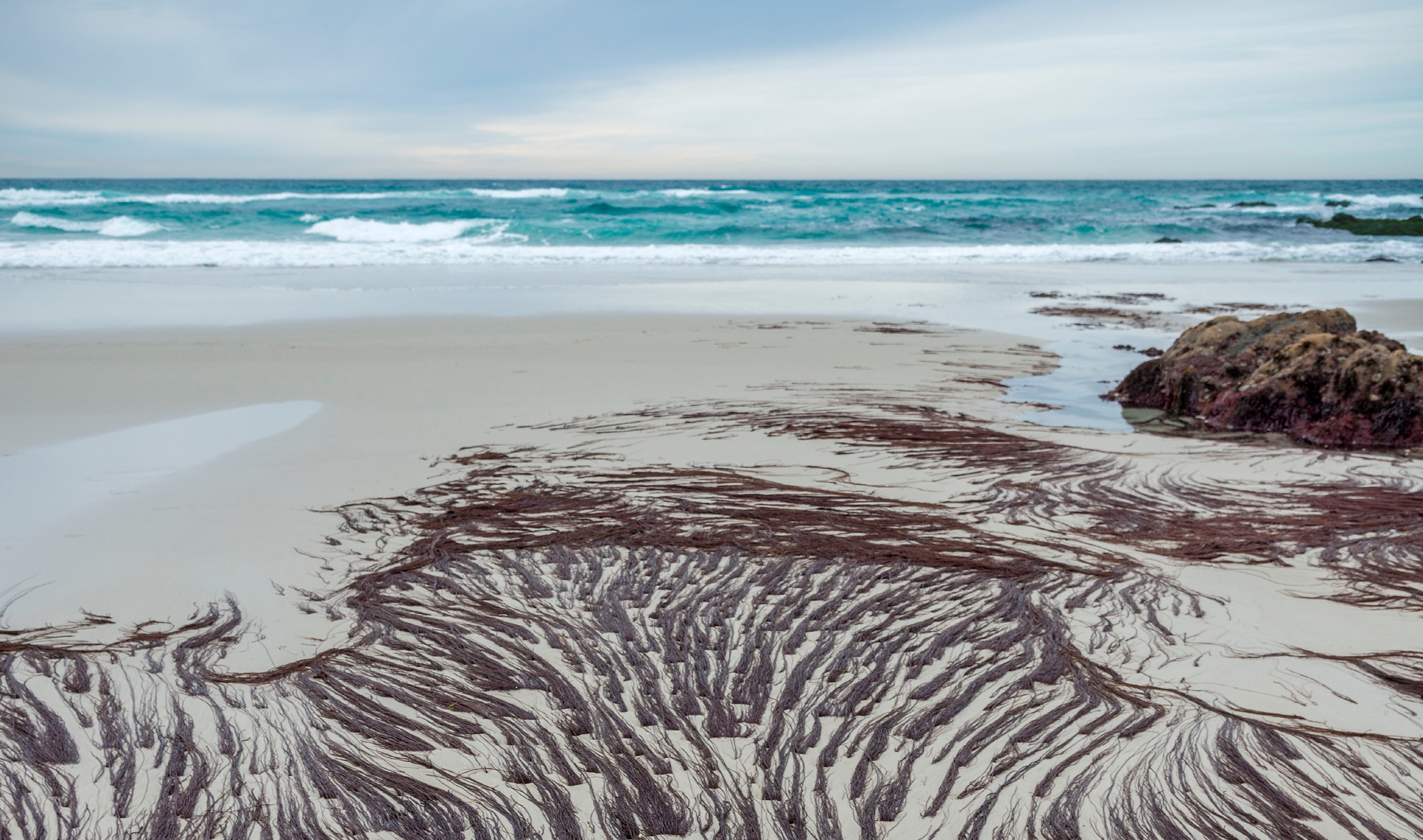Swirling patterns of dark seaweed washed onto white sand beach with turquoise waves and rocks in background