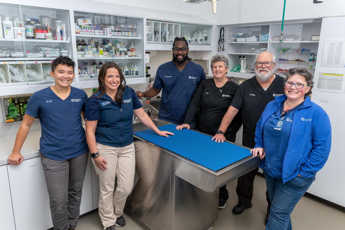 Six veterinary staff members smiling in an animal operating room, standing around a surgical table with cabinets of veterinary supplies behind them
