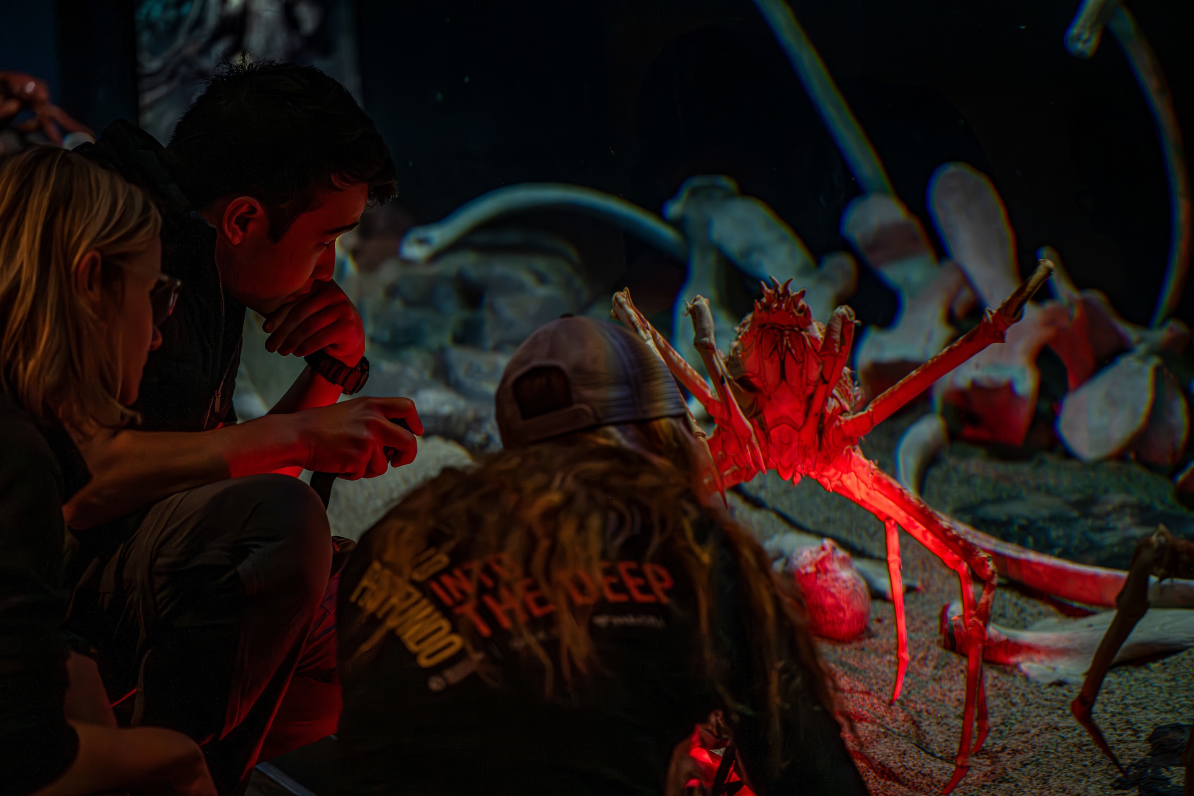Members of the Into the Deep Animal Care Team inspecting a Japanese spider crab in the Whalefall Exhibit