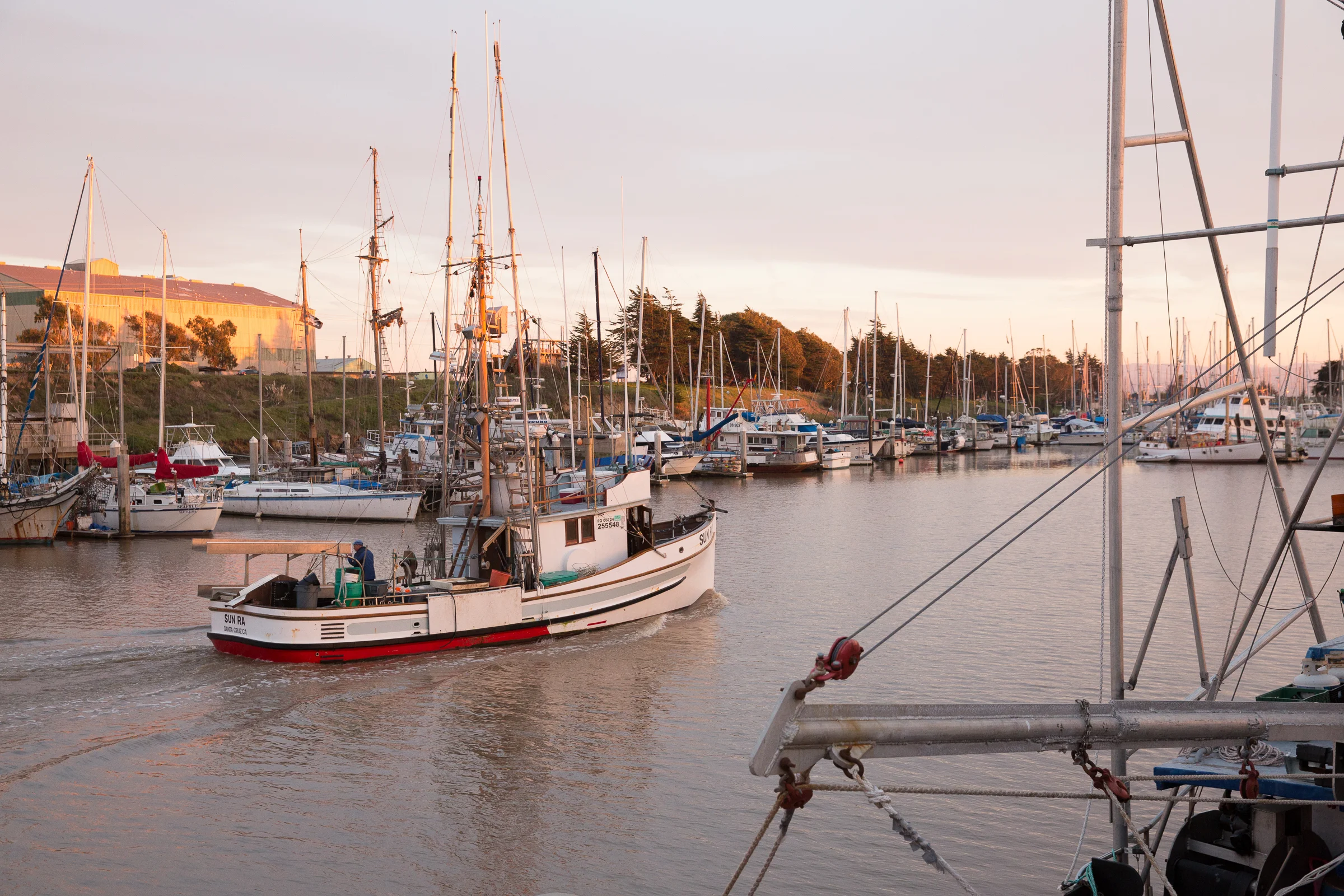 Fishing boat Sun Ra cruising through Moss Landing Harbor at sunset among sailboats and fishing vessels