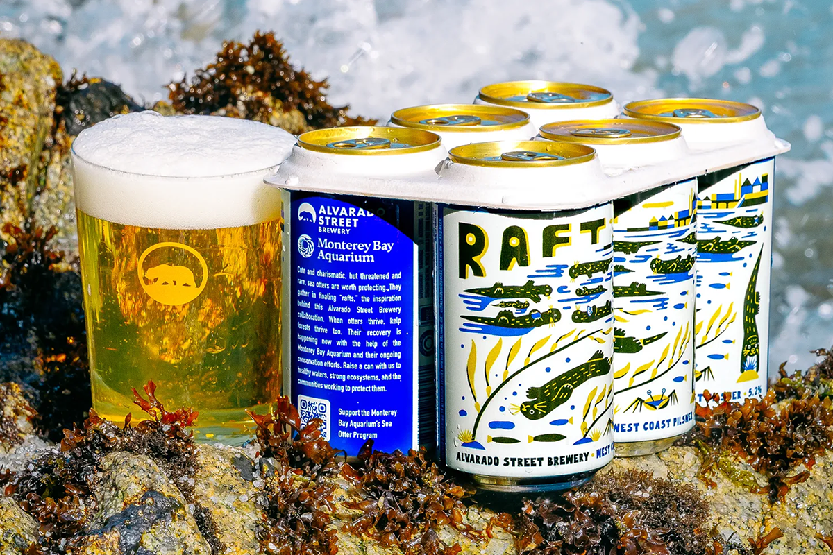 Alvarado Street Brewery Raft pilsner six-pack and full beer on tide rocks with waves crashing behind