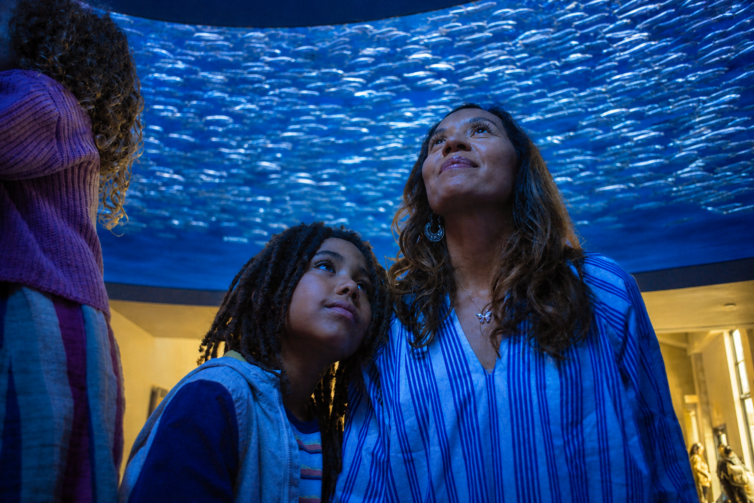Family stands under the sardine round looking up in awe at a large school of small fish swimming overhead