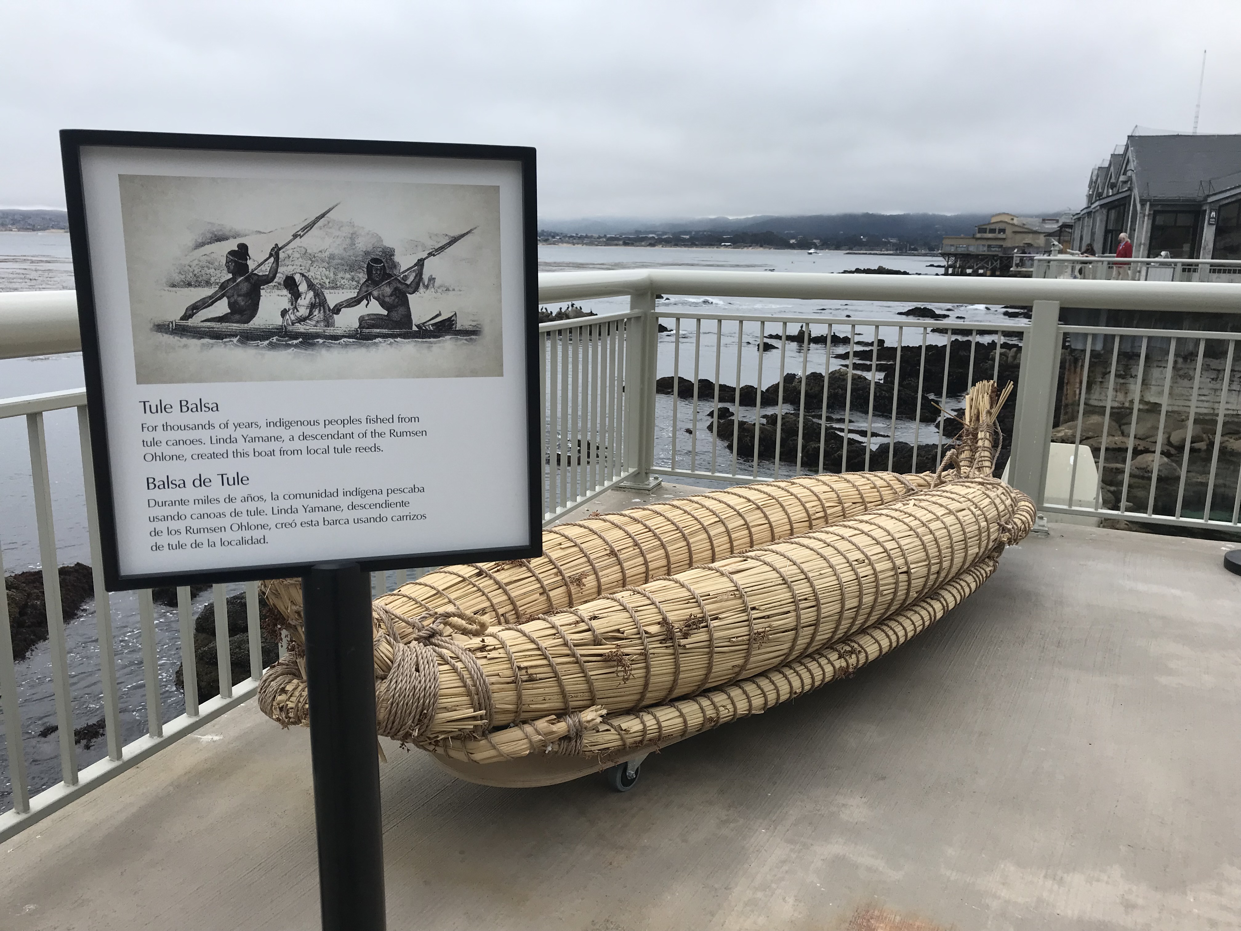Tule canoe from Turning the Tide on the back deck in summer 2021