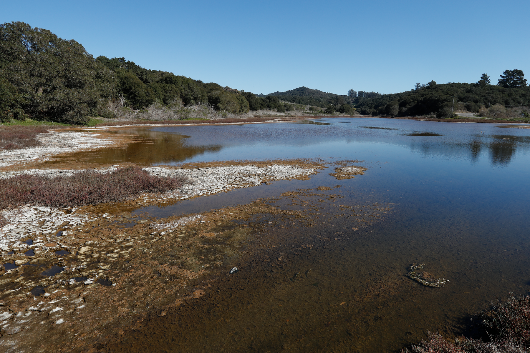 A wide-angle view of Elkhorn Slough under a clear blue sky, showing calm water, cracked mud flats, and wooded hills