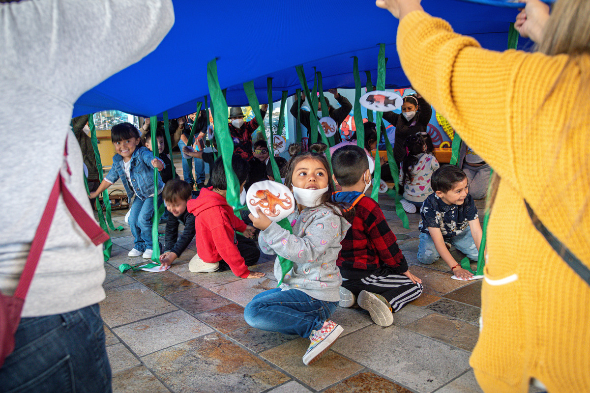 Students crawl under the parachute through green streamers representing an imaginary kelp forest.