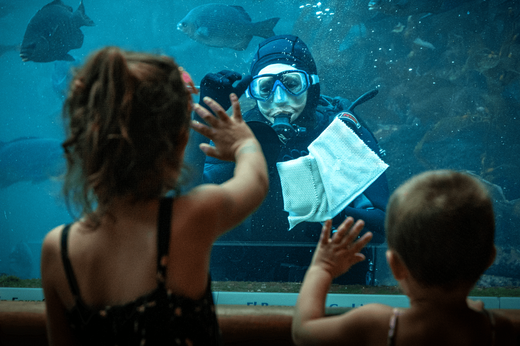 Two young children waving at a scuba diver through the glass of a large Aquarium exhibit filled with fish