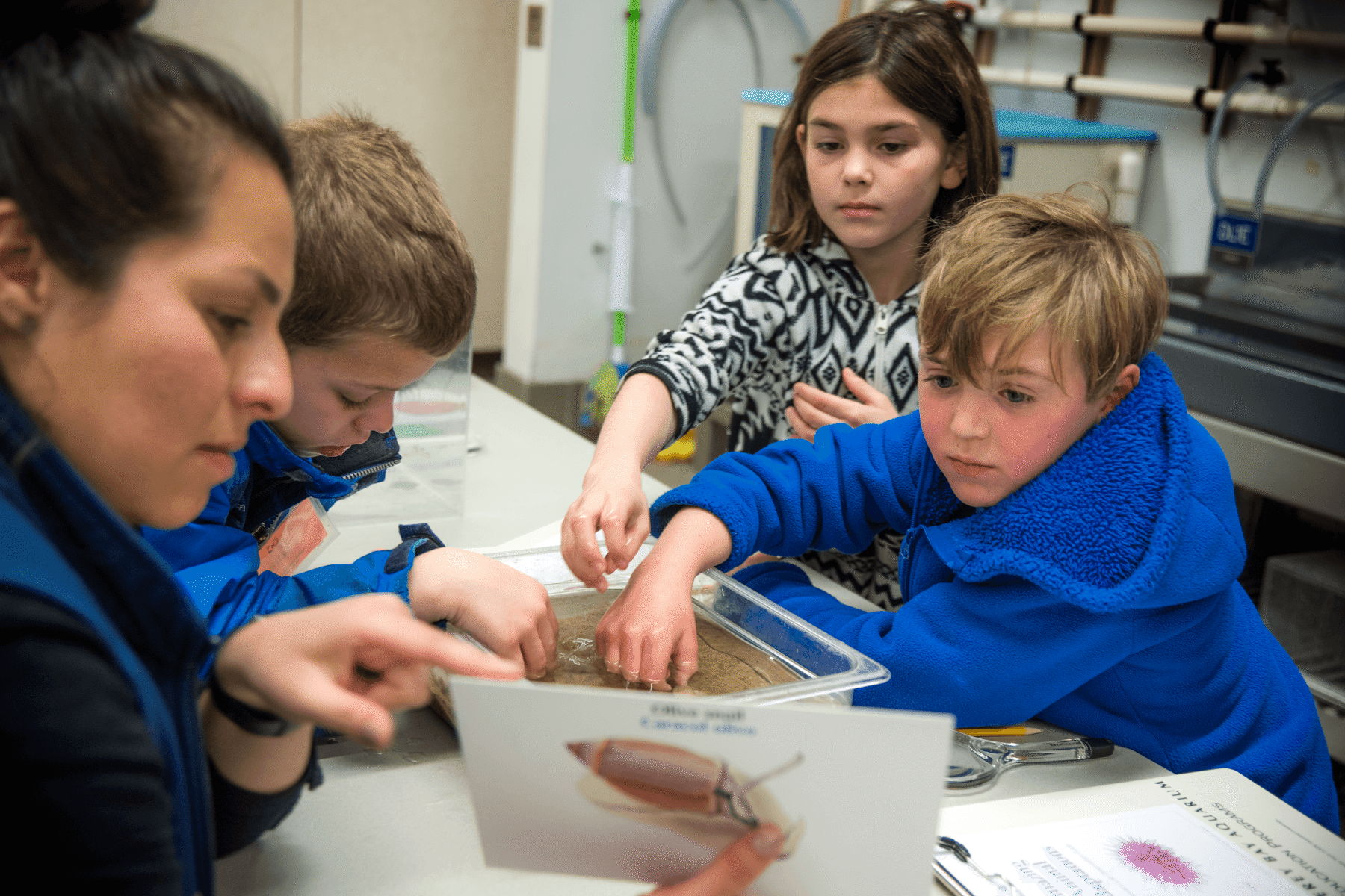 Smiling young child reaching into an Aquarium touch exhibit with an educator's guidance, while family members watch and smile in the background