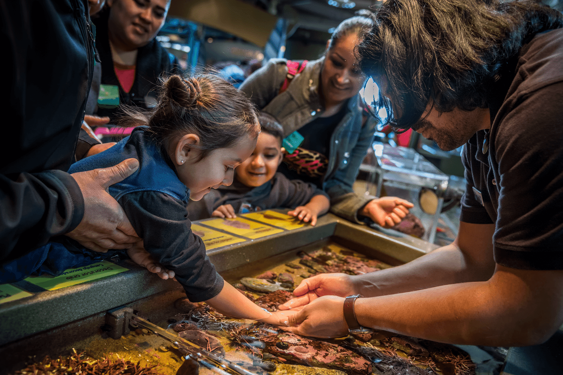 Smiling young child reaching into an Aquarium touch exhibit with an educator's guidance, while family members watch and smile in the background