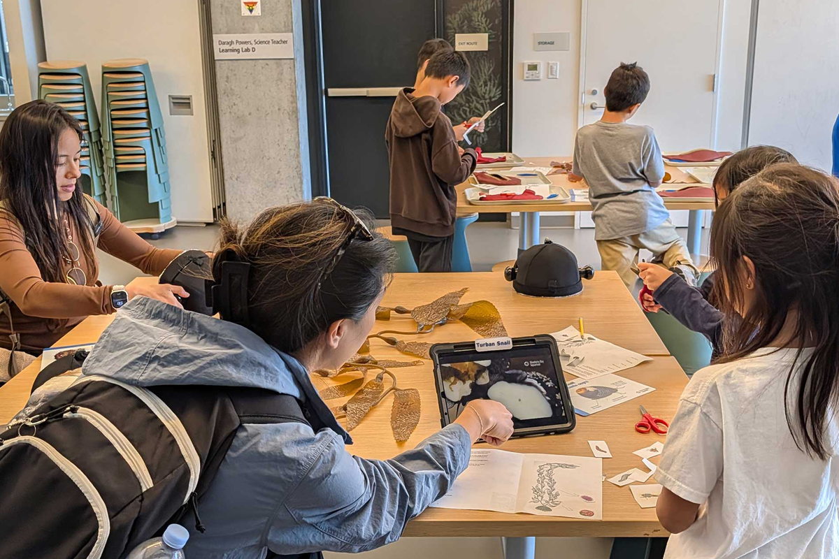 Teachers and students at a table working on projects and looking at kelp images