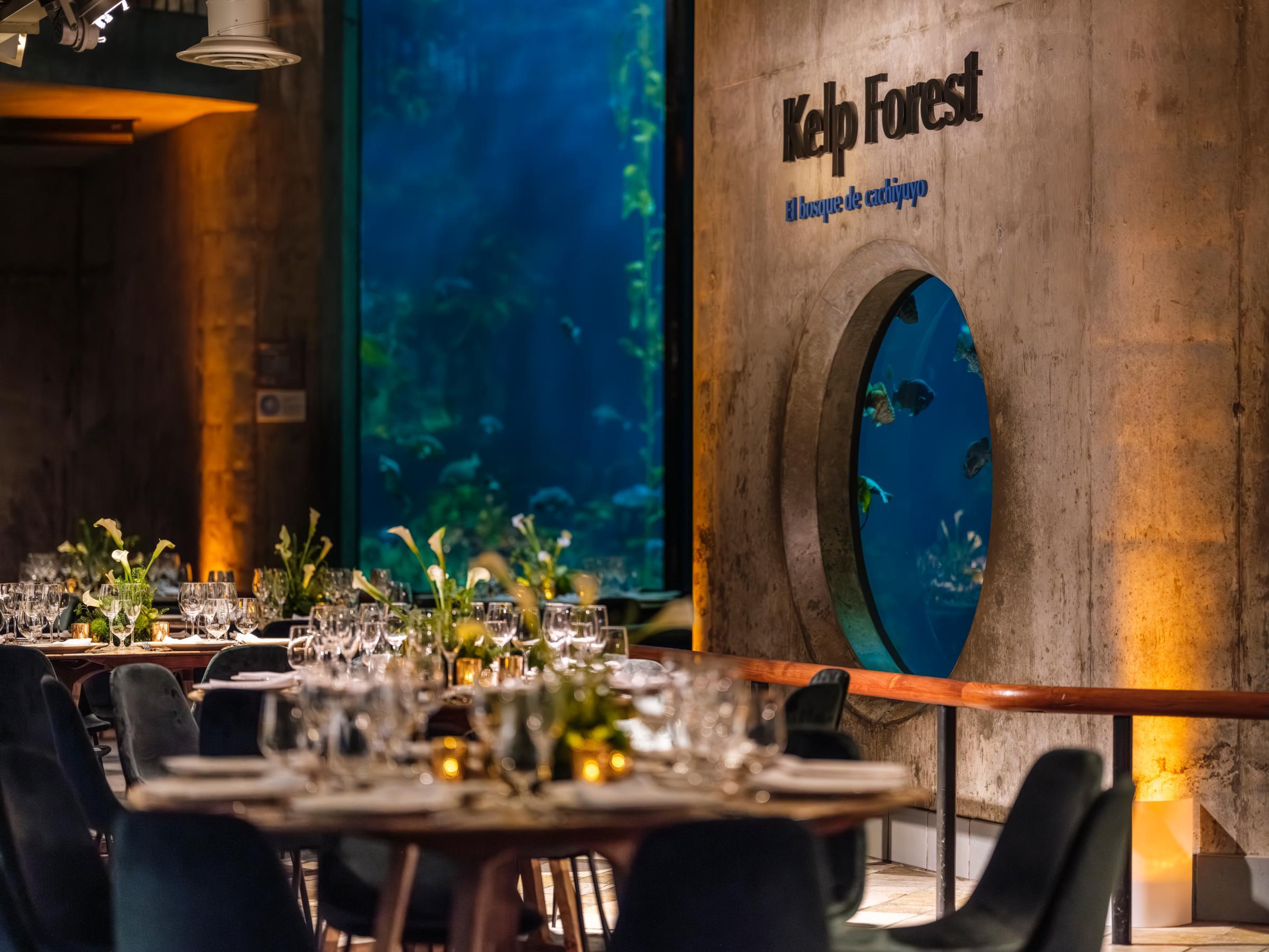 Several dining tables set with elegant dinnerware and flowers in the low, warm lighting of the Aquarium's Kelp Forest exhibit