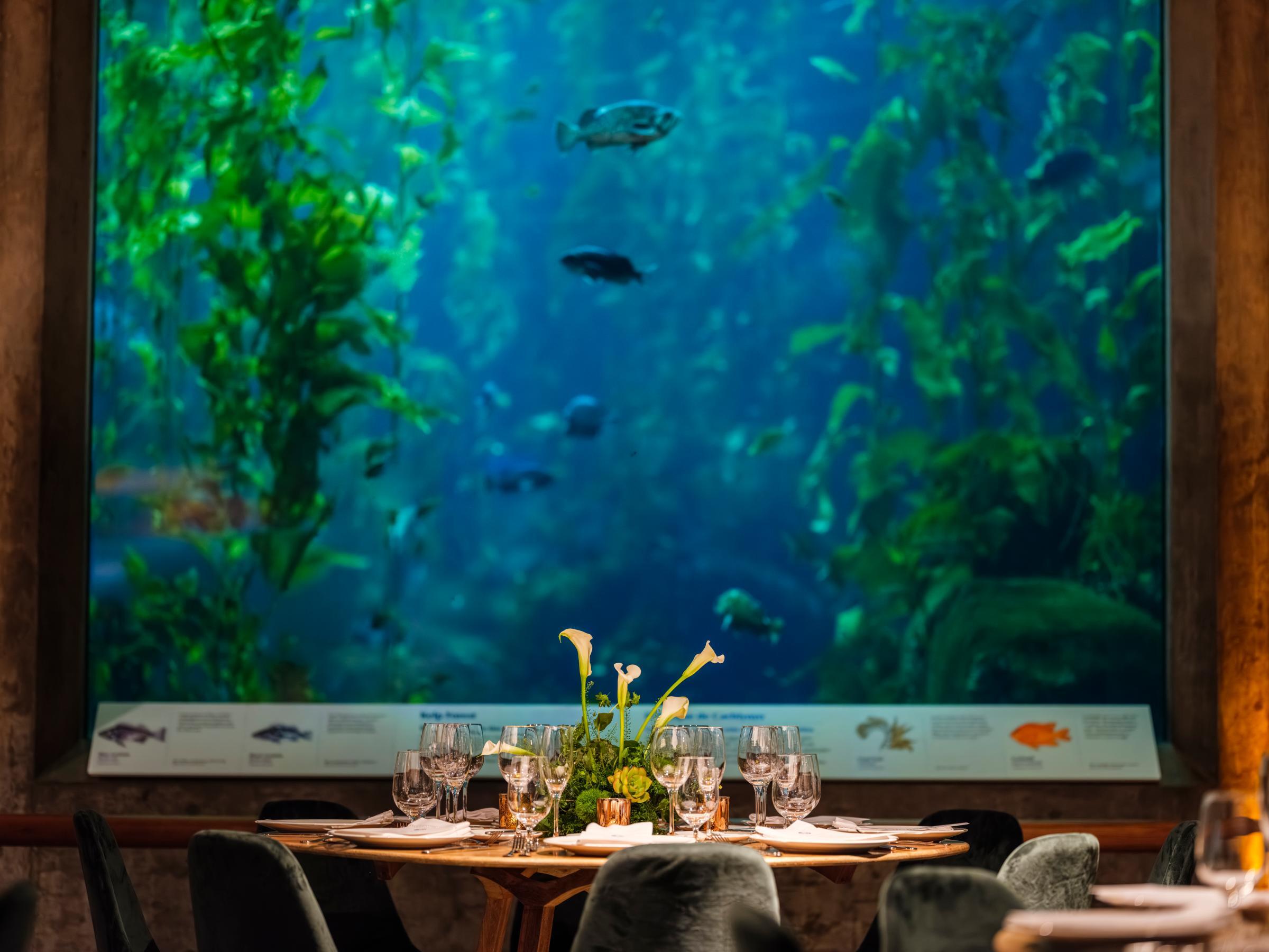 In the foreground a round dining table set with evening dinnerware and in the background a large rectangular window looking into the lush Kelp Forest teeming with fish
