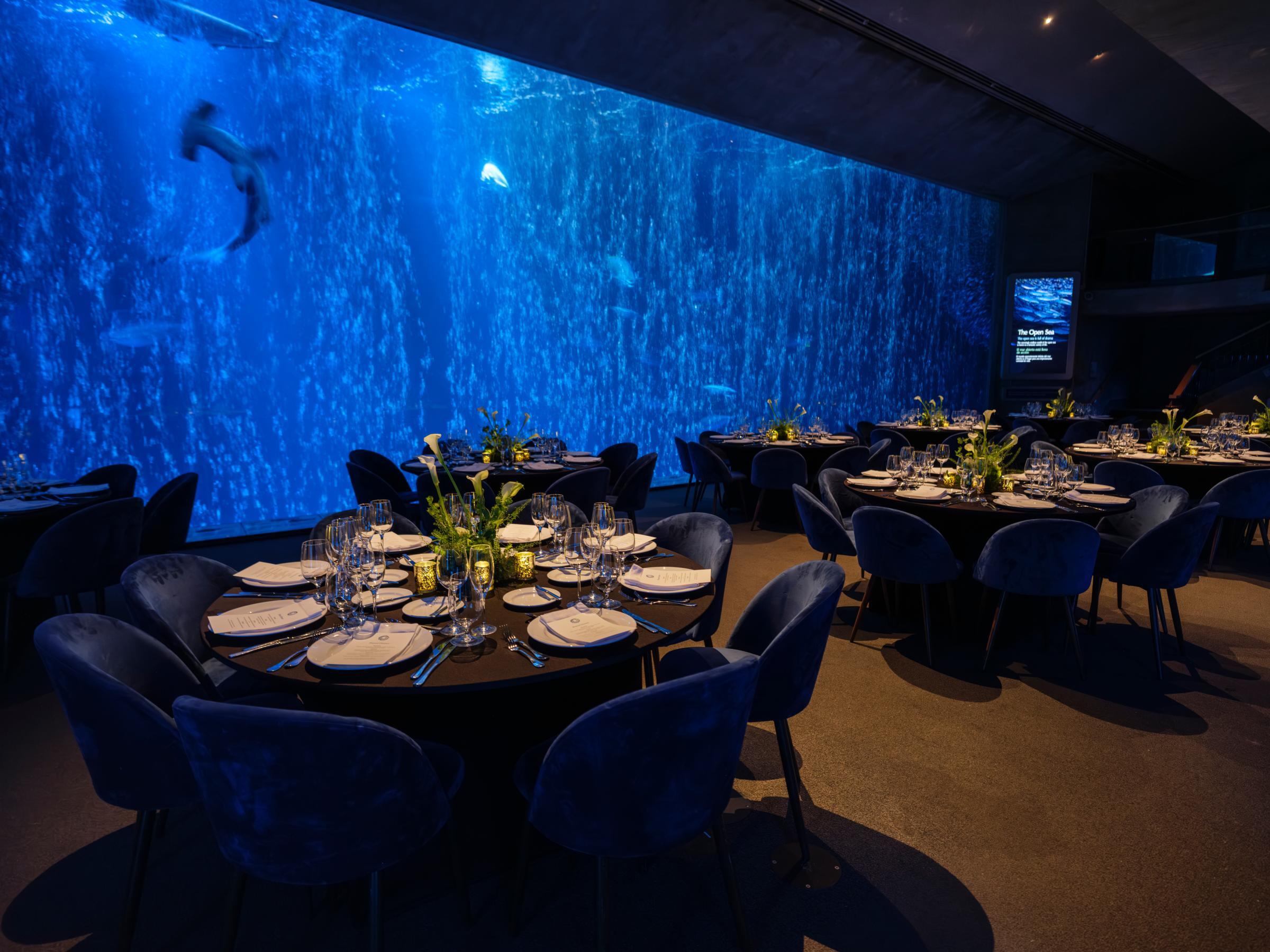 Several large, round tables set for an evening dinner event in the low, dramatic lighting of the Open Sea exhibit with hammerhead sharks, mahi mahi, and other animals swimming in the big tank in the background