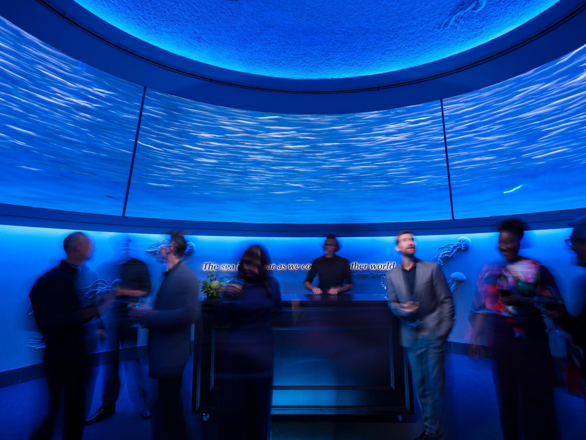 A crowd of people blurry with movement as they congregate around a bar area under the swirling sardine round of the Aquarium's Open Sea exhibit