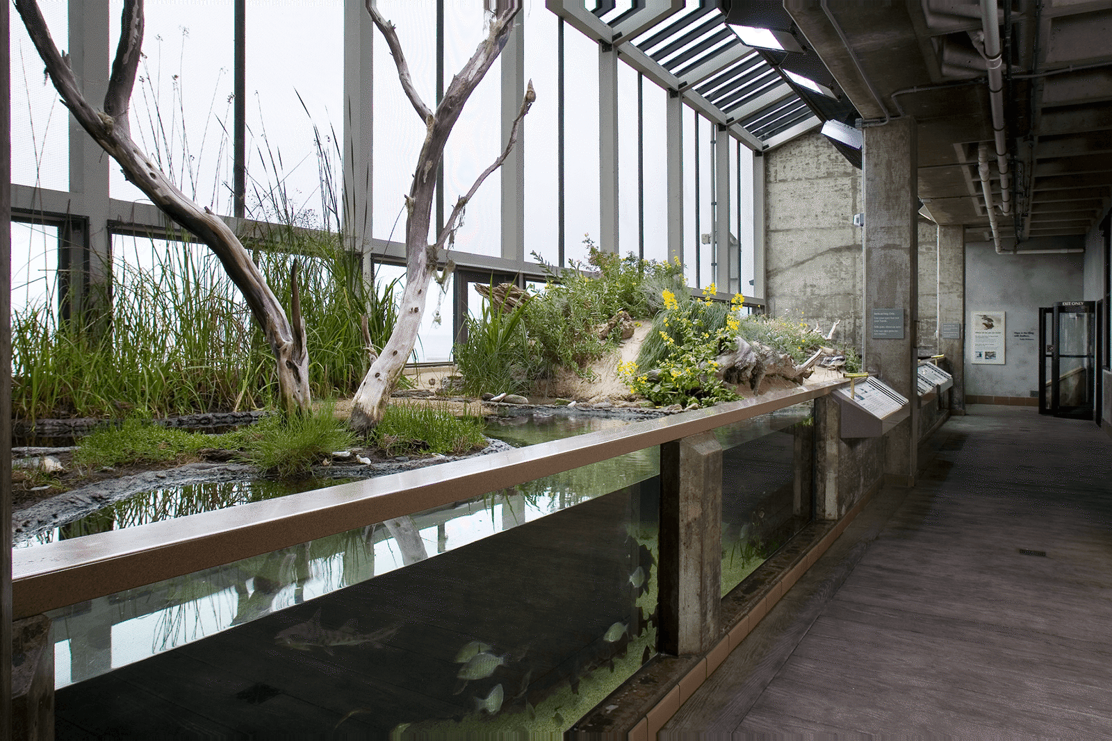 Slough end of the Aviary in Ocean's Edge