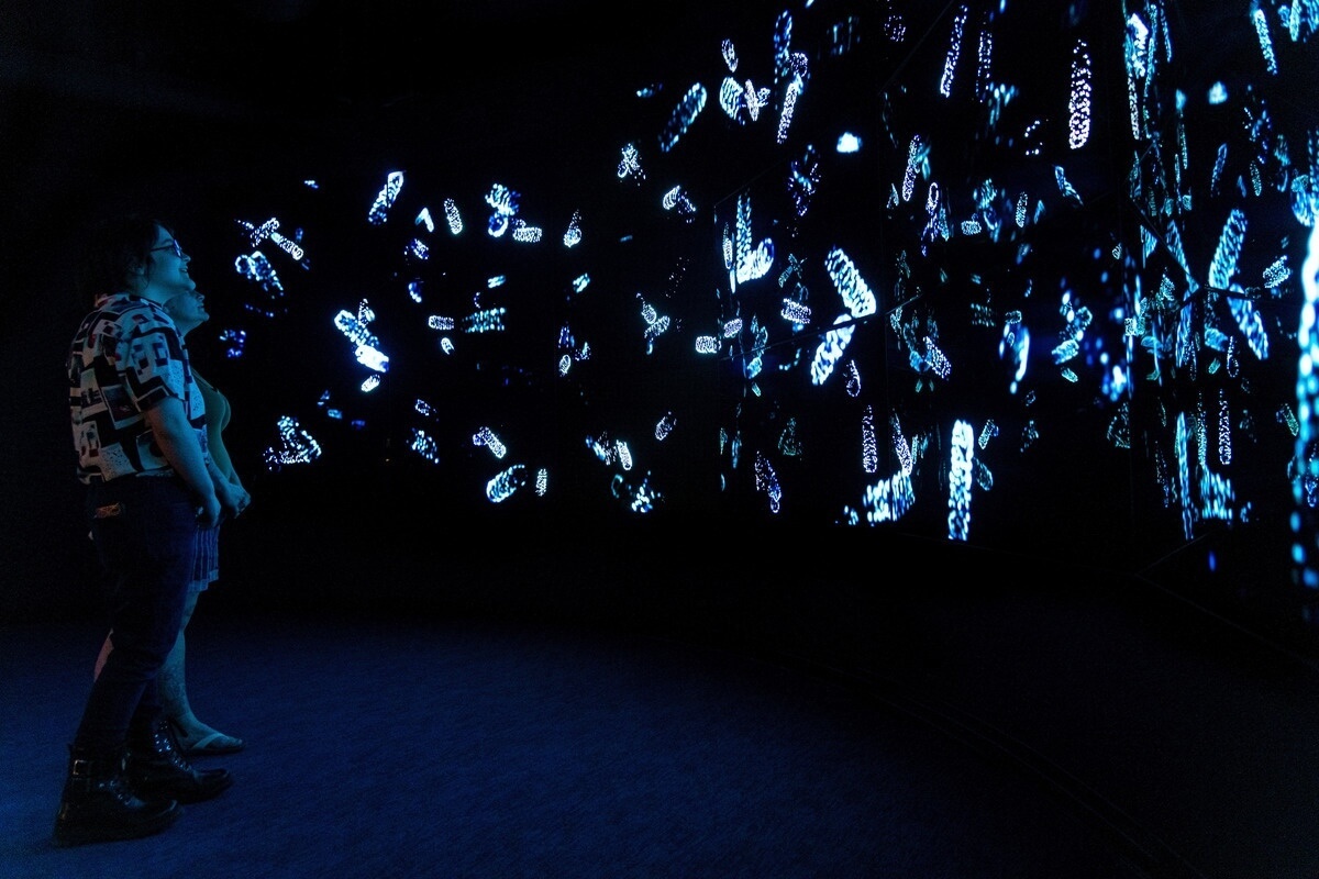 Visitors gaze at glowing bioluminescent creatures projected across a dark wall in the Into the Deep exhibit