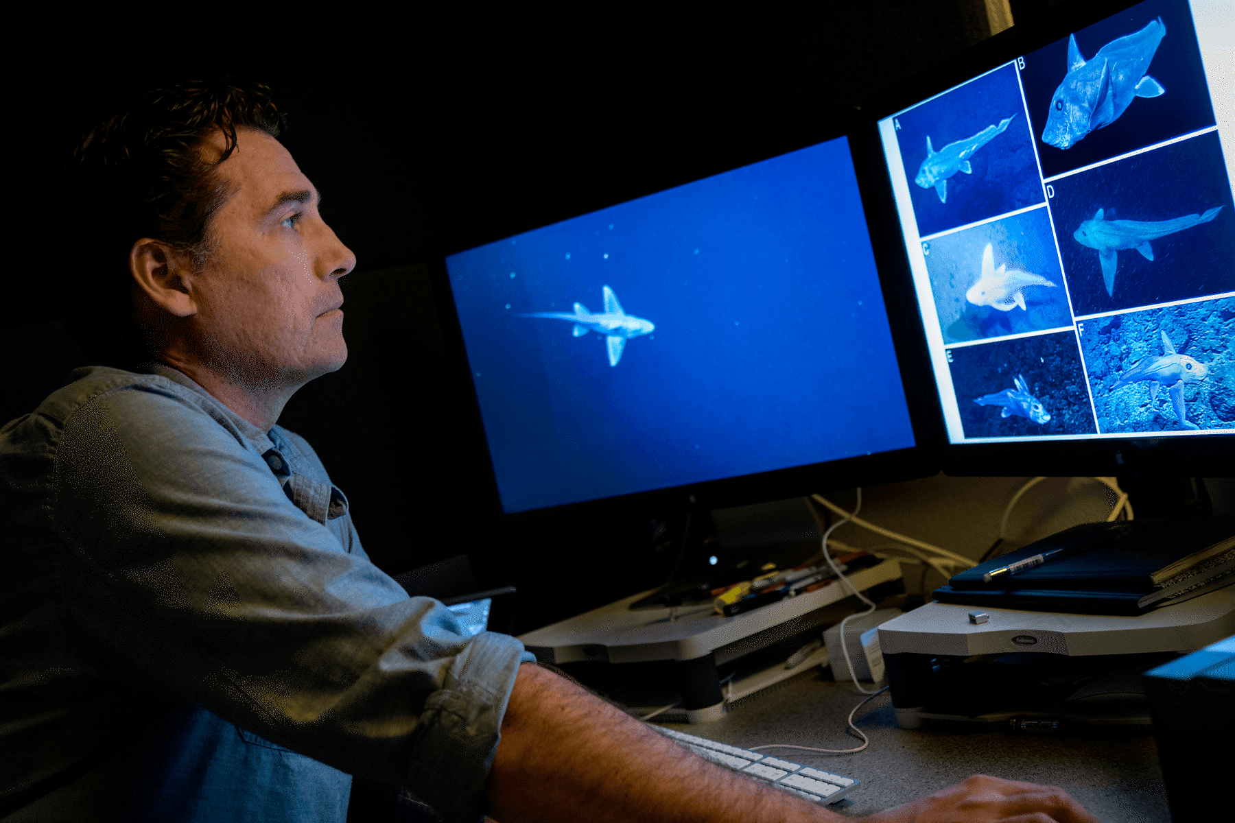 A middle age white man on the left is looking at deep sea underwater footage of different types of animals