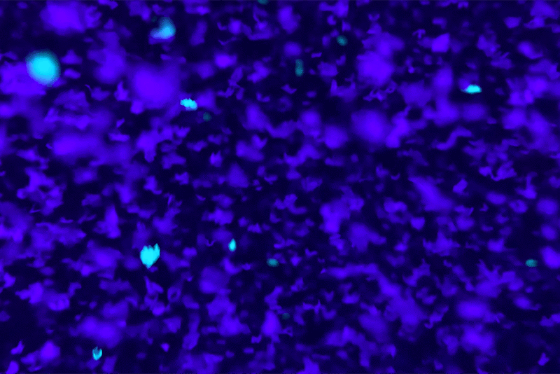 Dense cluster of tiny purple and blue plastic microplastic particles glowing under ultraviolet light