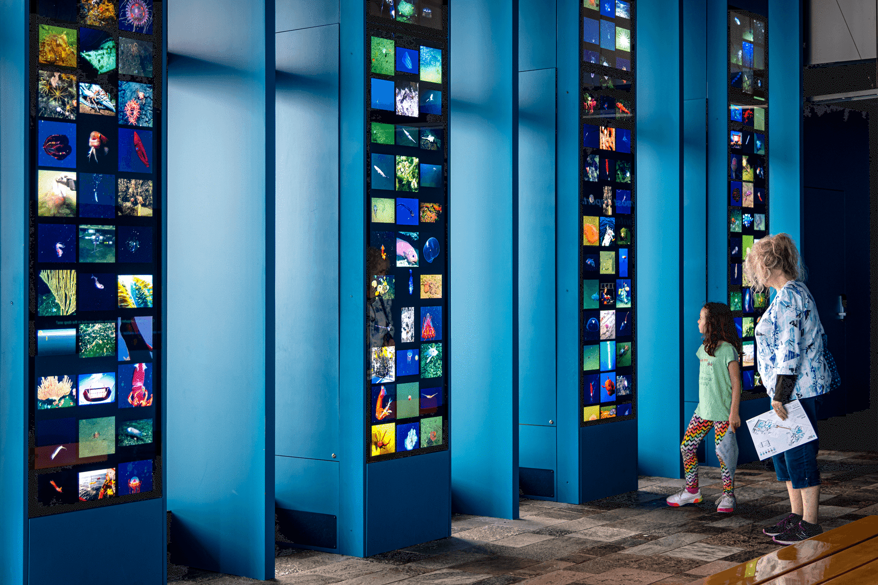 Child and adult explore towering digital columns displaying deep-sea creature photos in the exhibit