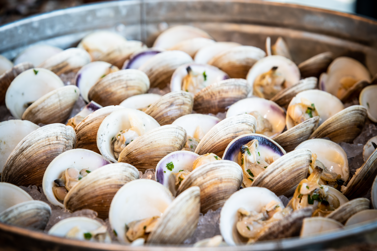 Tray of steamed clams in open shells, garnished with herbs and served in a large metal pan. © Monterey Bay Aquarium
