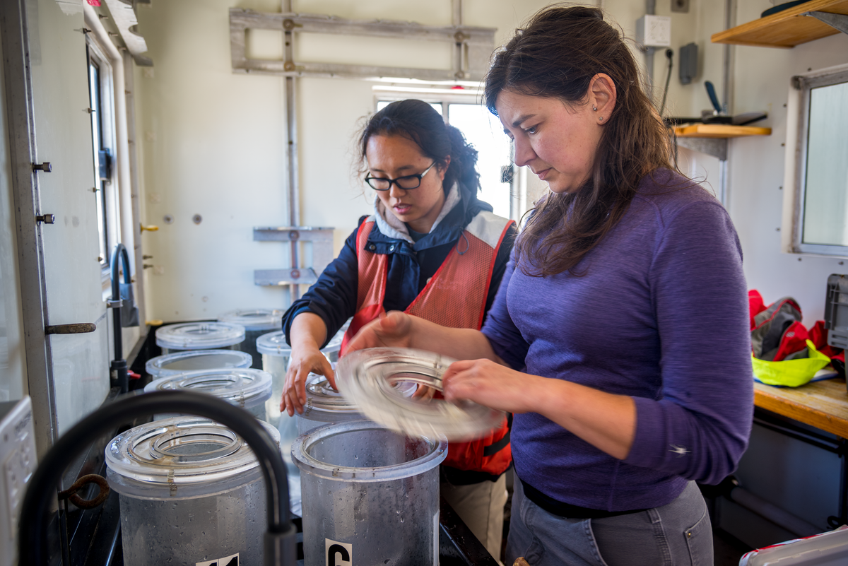 Monterey Bay Aquarium Research Institute staff and Monterey Bay Aquarium staff during a research and collection trip