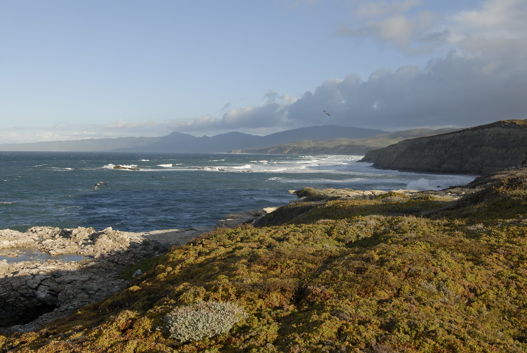 View of coastal bluffs and ocean water at Point Conception