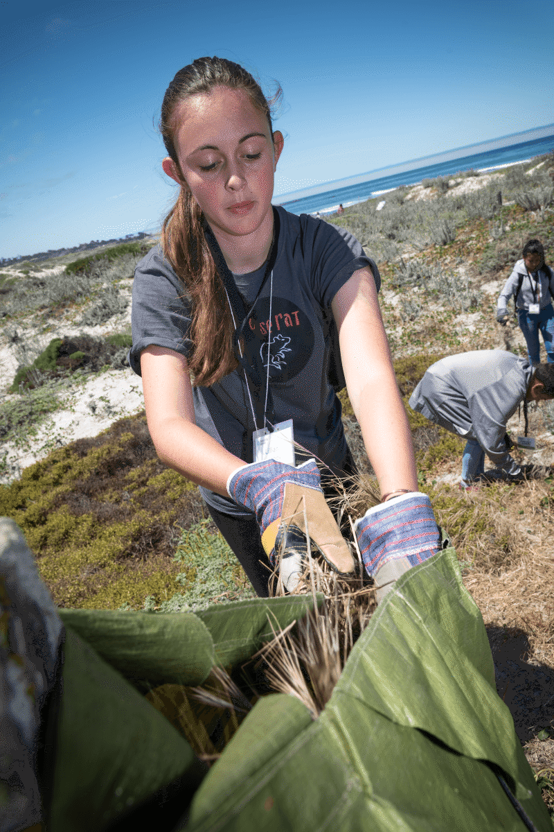 Teen volunteer wearing gloves pulling invasive plants from coastal dunes near the ocean