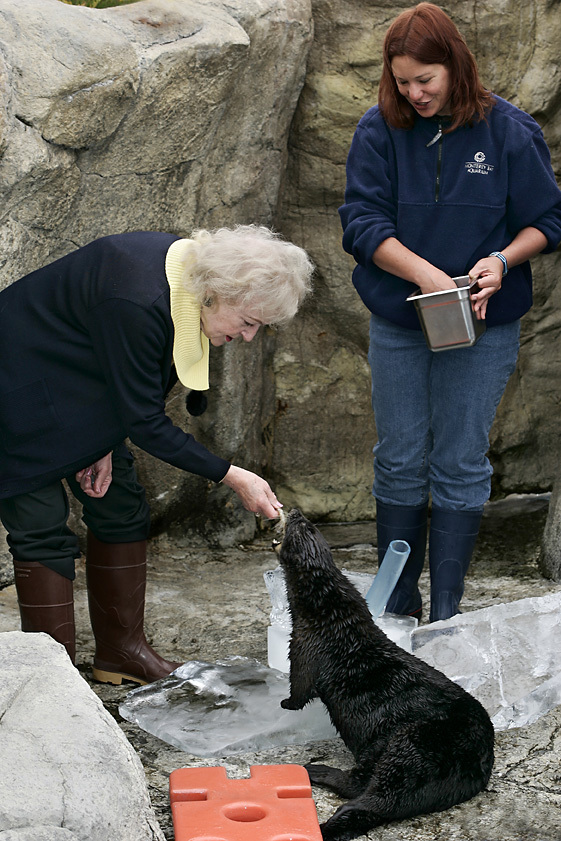 Betty White feeding a sea otter in the Sea Otter Exhibit while an aquarist stands nearby handing them food