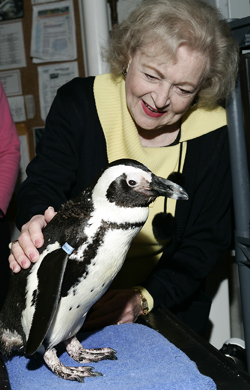 Betty White touching the back of an African penguin behind-the-scenes