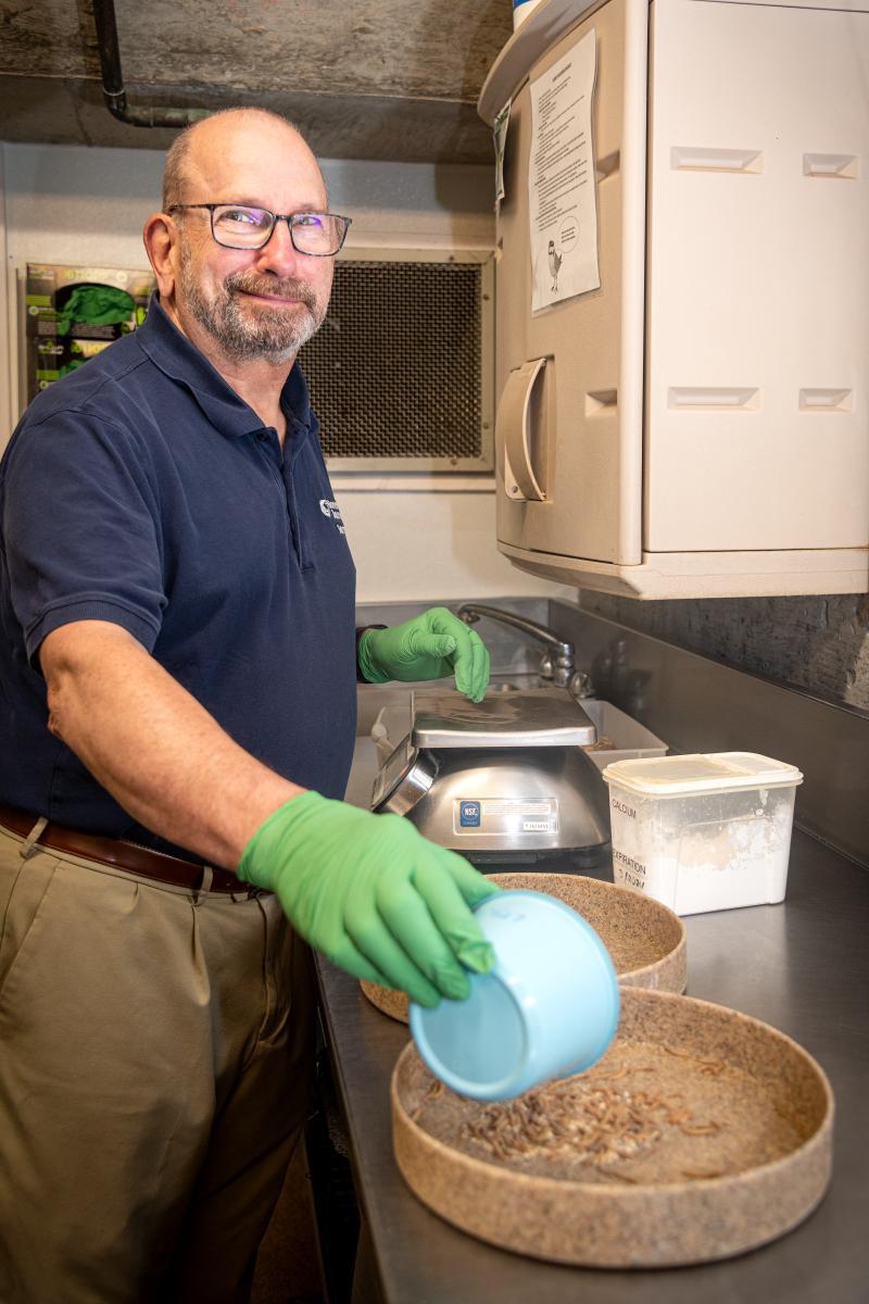 A volunteer pours a container of mealworms into a larger feeding tray for birds