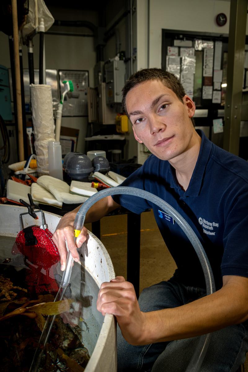 A volunteer holds a cleaning hose in a tank behind the scenes at the Aquarium