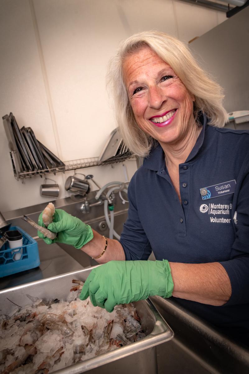 A volunteer smiles while holding frozen squid in a food room behind the scenes at the Aquarium