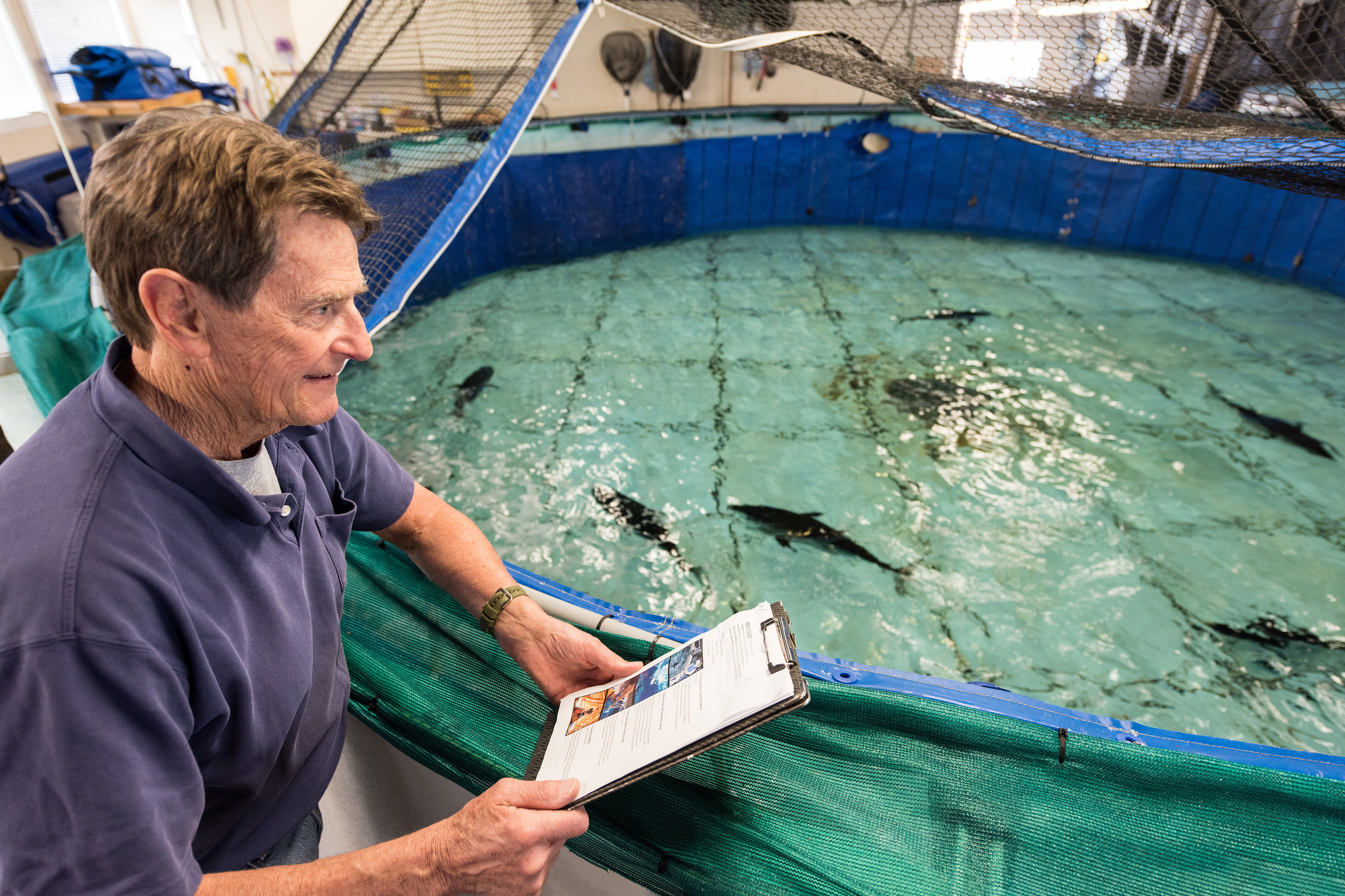 Chuck Farwell, curator of pelagic fishes, monitors bluefin tuna in a holding tank at TRCC