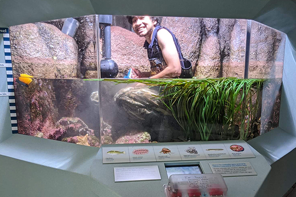 Dalton in a Rocky Shore exhibit while aqua-scaping