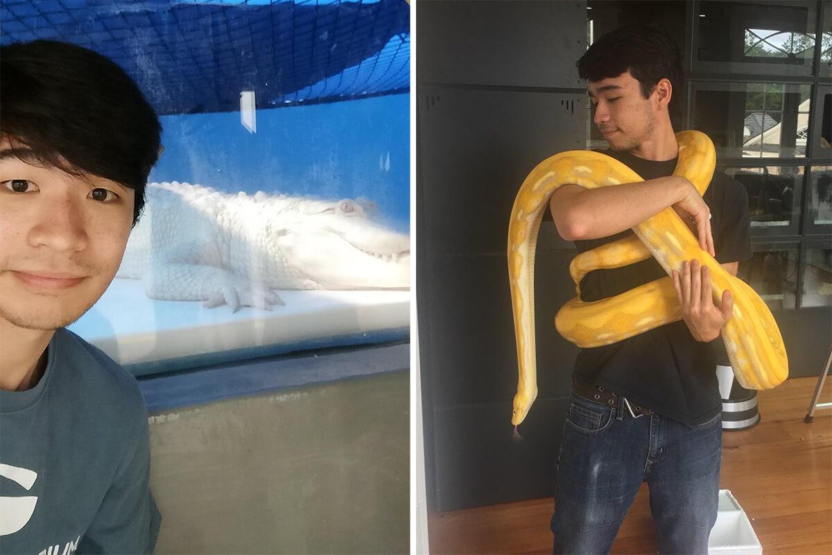 Collage of Dalton posing with an alligator and snake