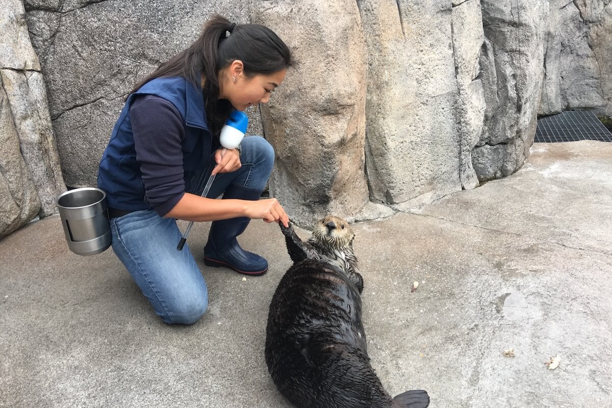 Jessica touching an otters paw while training