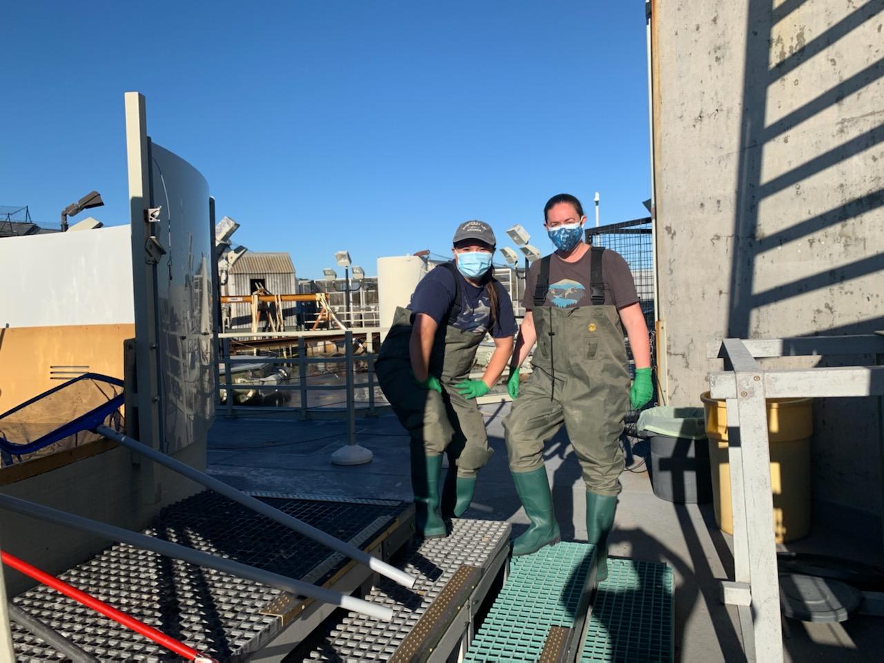 Jess Fujii with former Career Development Pathway intern Micah Rivera about to help clean a sea otter holding tank at the Aquarium