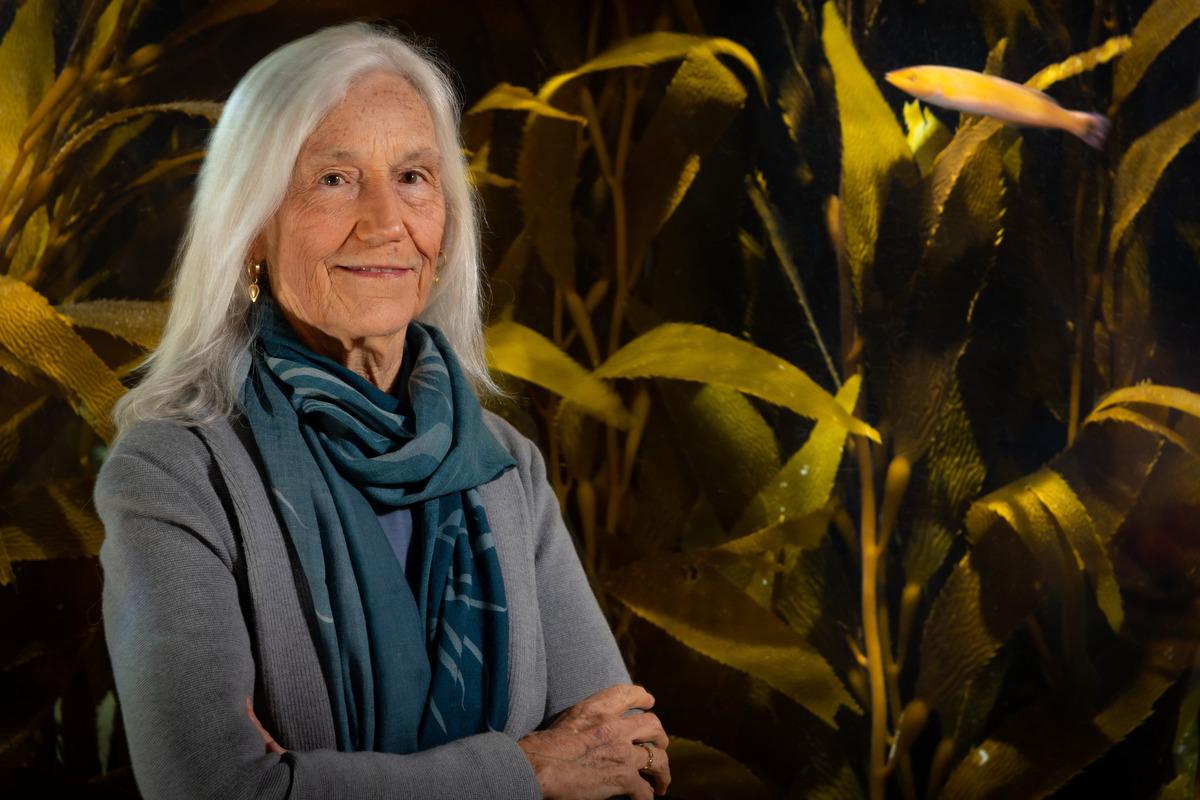 Julie Packard, Executive Director, in front of the Kelp Forest exhibit
