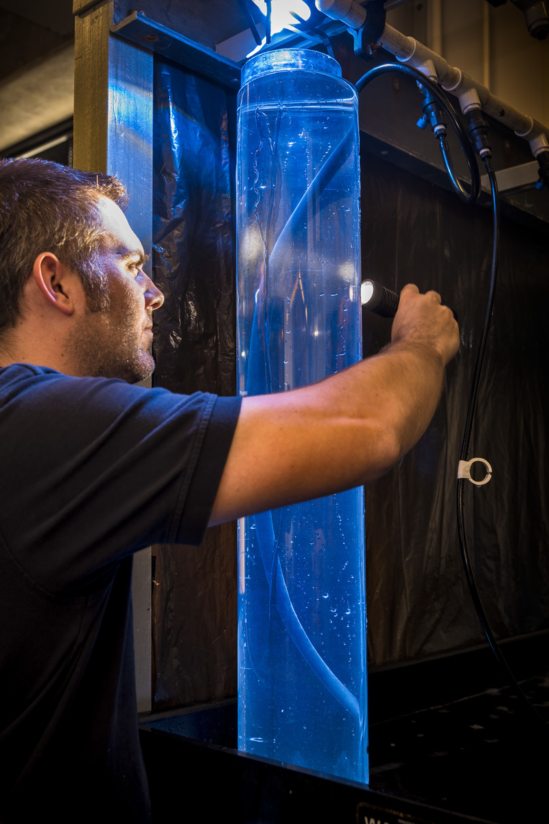 A man looks for a comb jelly in a tube of seawater using a flashlight on the other side of the tube pointed back  towards his face