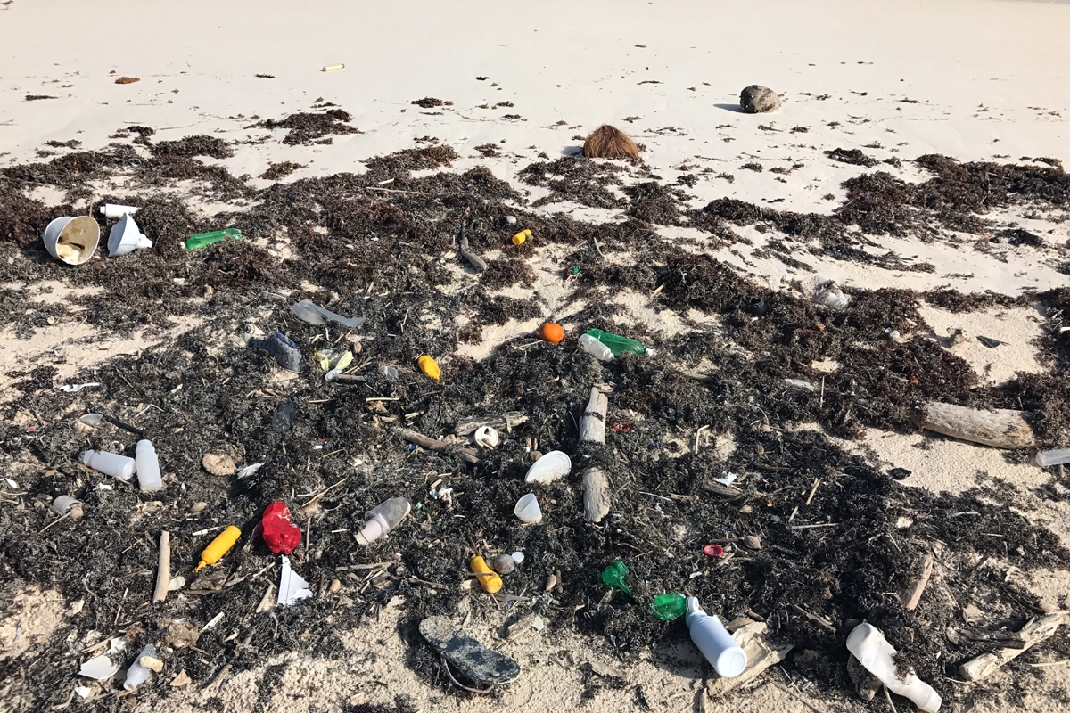 Plastic bottles, containers, and colorful debris washed ashore and tangled in dark seaweed on a sandy beach