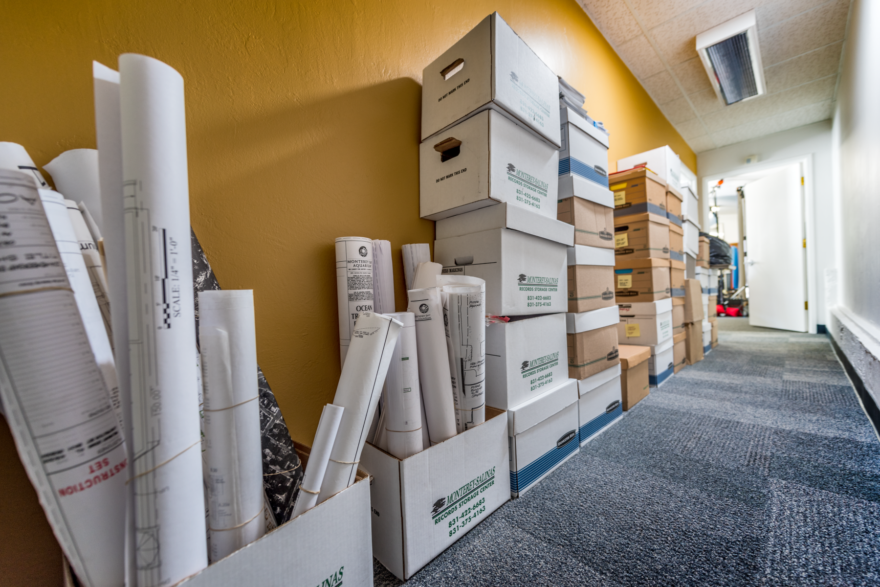 Staff carrying boxes past a cart loaded with books puzzles and bags during an office move